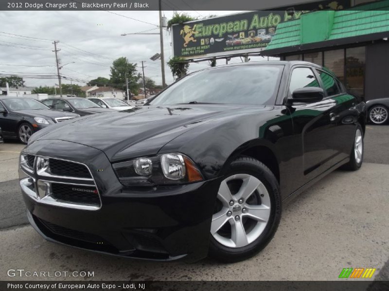 Blackberry Pearl / Black 2012 Dodge Charger SE