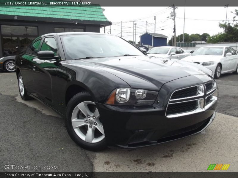 Blackberry Pearl / Black 2012 Dodge Charger SE