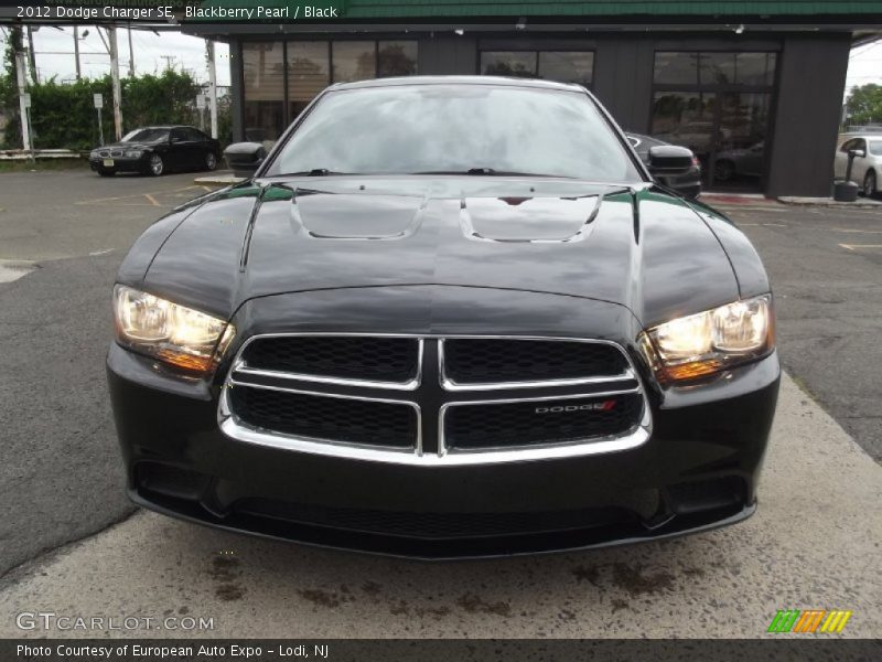 Blackberry Pearl / Black 2012 Dodge Charger SE