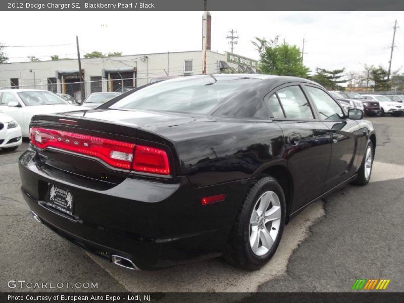 Blackberry Pearl / Black 2012 Dodge Charger SE