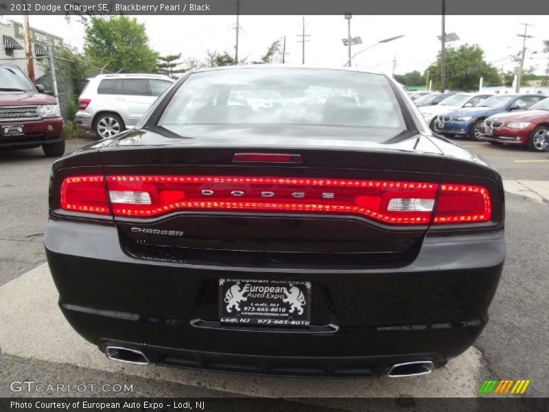 Blackberry Pearl / Black 2012 Dodge Charger SE