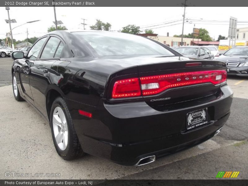 Blackberry Pearl / Black 2012 Dodge Charger SE