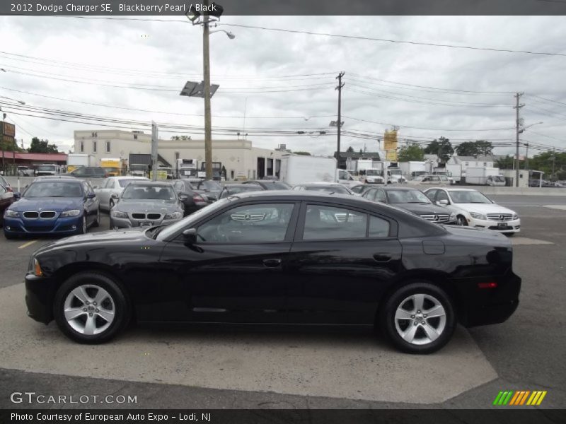 Blackberry Pearl / Black 2012 Dodge Charger SE