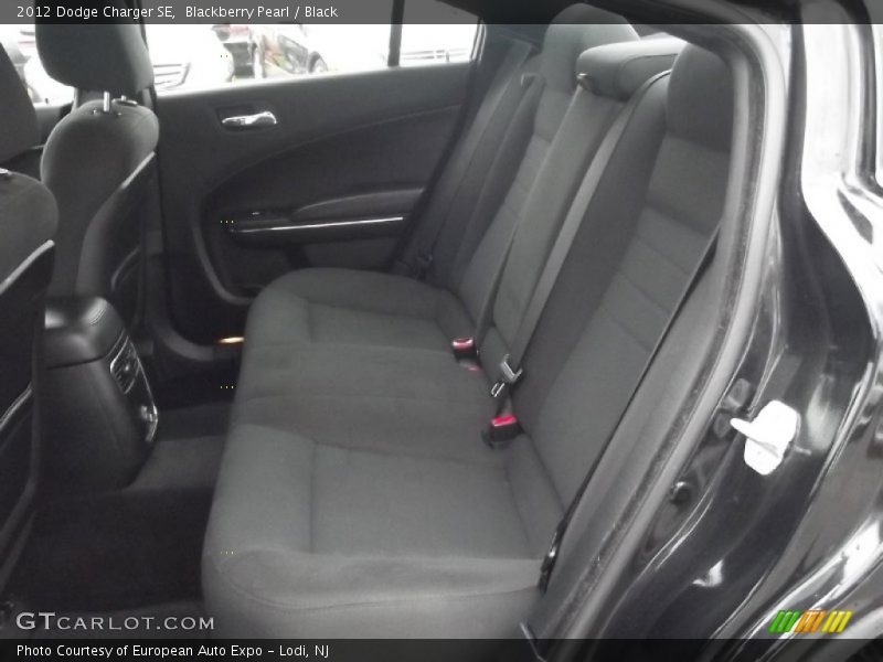 Blackberry Pearl / Black 2012 Dodge Charger SE