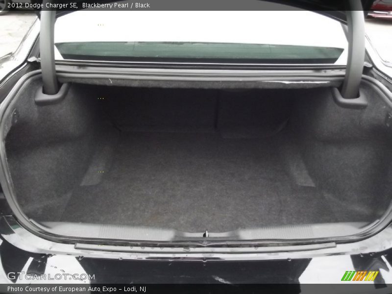 Blackberry Pearl / Black 2012 Dodge Charger SE