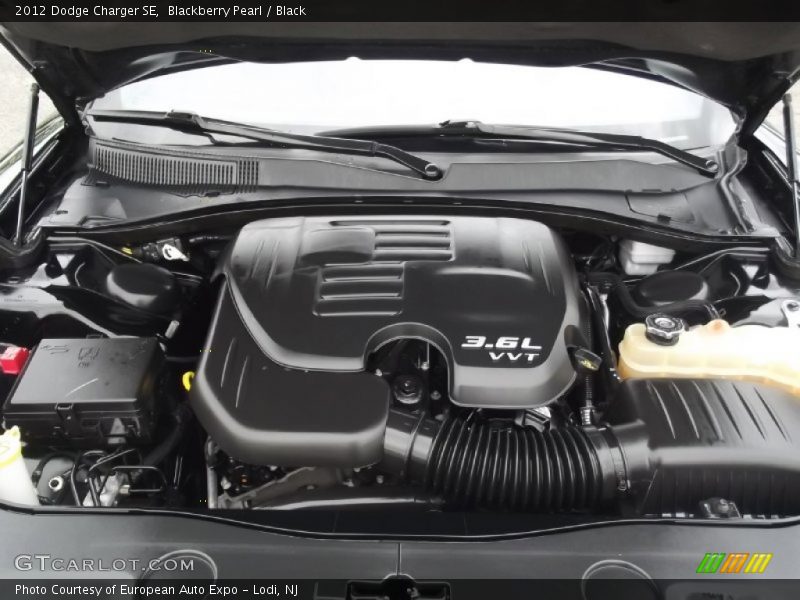 Blackberry Pearl / Black 2012 Dodge Charger SE