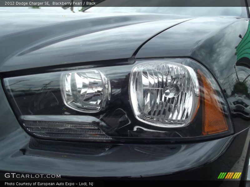 Blackberry Pearl / Black 2012 Dodge Charger SE