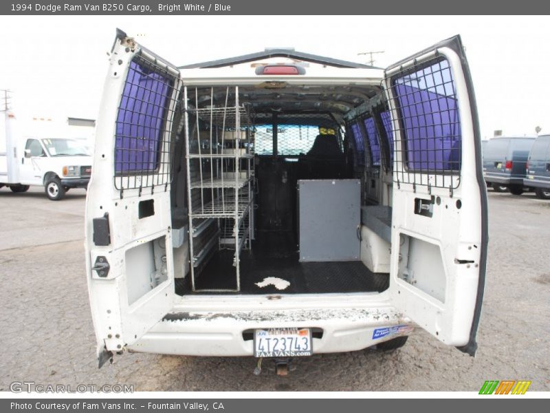 Bright White / Blue 1994 Dodge Ram Van B250 Cargo