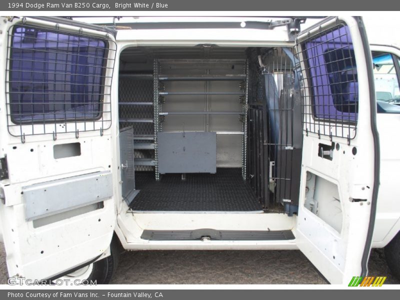 Bright White / Blue 1994 Dodge Ram Van B250 Cargo