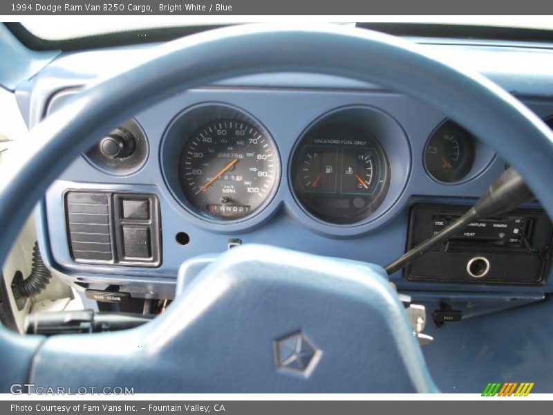 Bright White / Blue 1994 Dodge Ram Van B250 Cargo