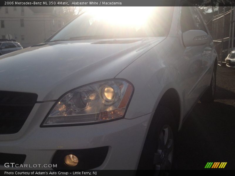 Alabaster White / Macadamia 2006 Mercedes-Benz ML 350 4Matic