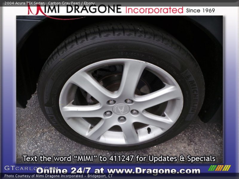 Carbon Gray Pearl / Ebony 2004 Acura TSX Sedan