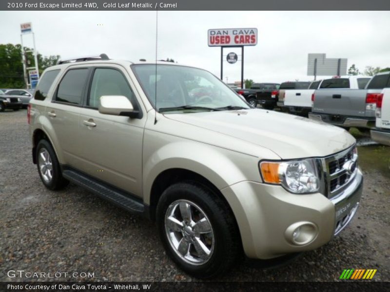 Gold Leaf Metallic / Camel 2010 Ford Escape Limited 4WD
