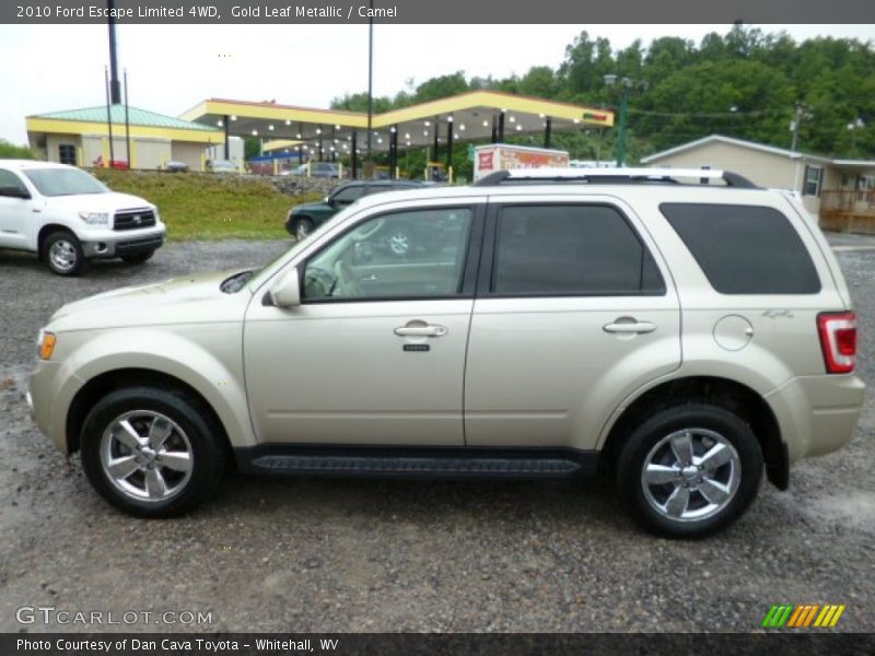 Gold Leaf Metallic / Camel 2010 Ford Escape Limited 4WD