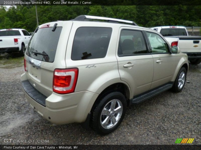 Gold Leaf Metallic / Camel 2010 Ford Escape Limited 4WD