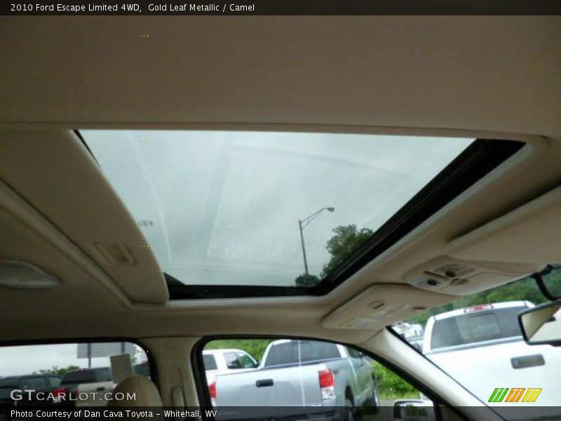 Gold Leaf Metallic / Camel 2010 Ford Escape Limited 4WD