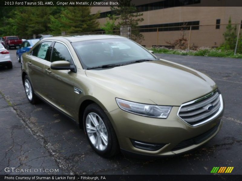 Ginger Ale Metallic / Charcoal Black 2013 Ford Taurus SEL AWD