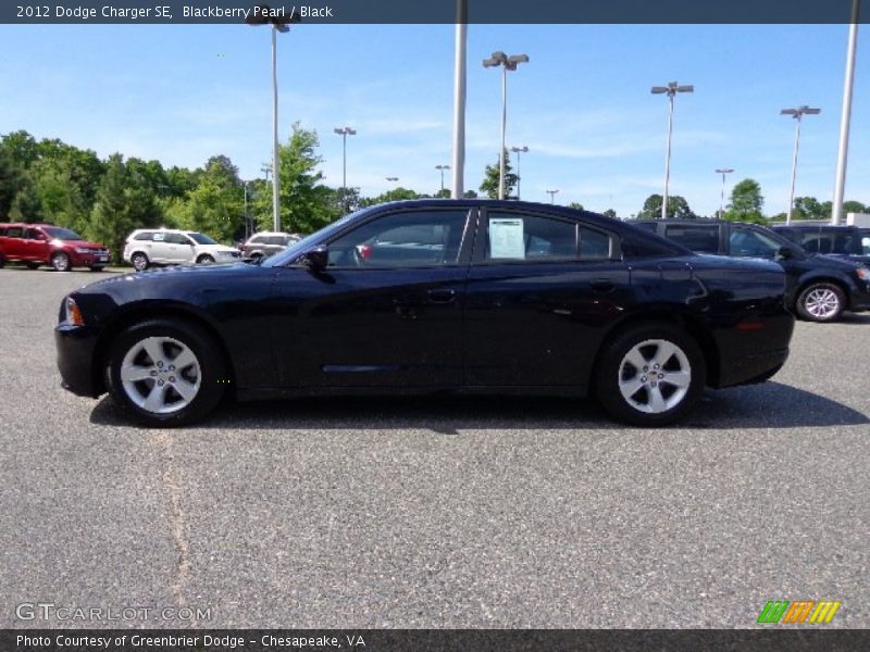 Blackberry Pearl / Black 2012 Dodge Charger SE