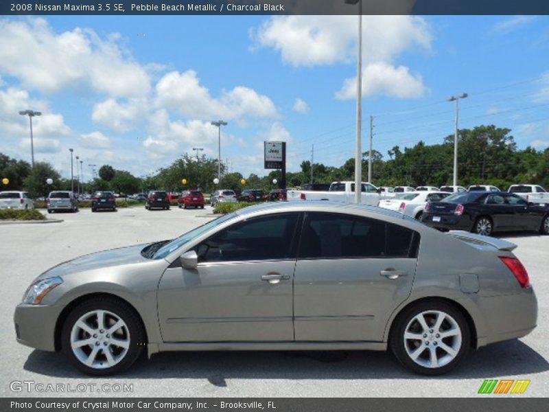 Pebble Beach Metallic / Charcoal Black 2008 Nissan Maxima 3.5 SE