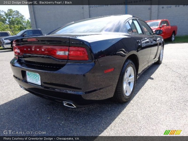Blackberry Pearl / Black 2012 Dodge Charger SE