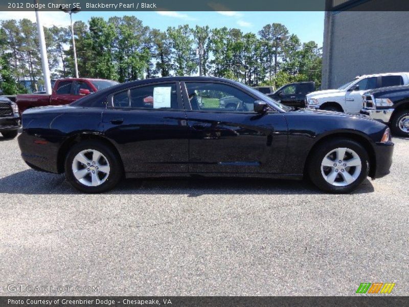 Blackberry Pearl / Black 2012 Dodge Charger SE