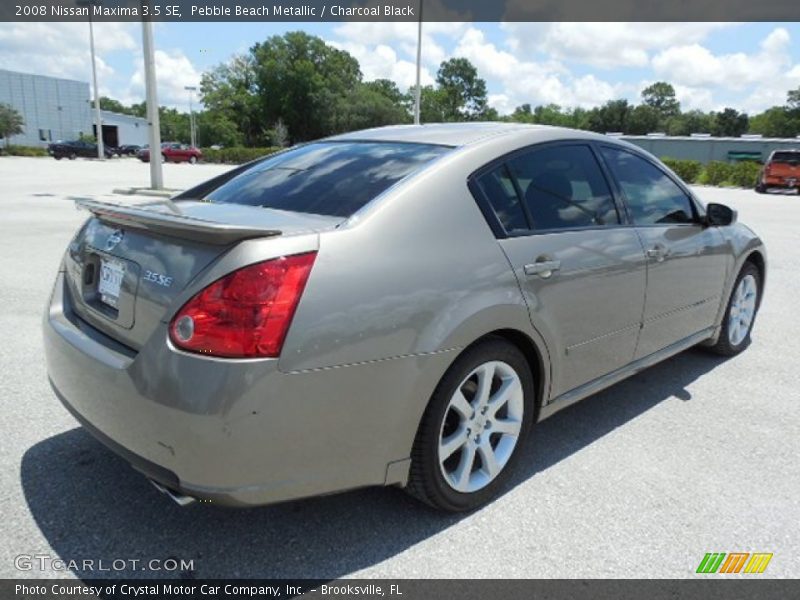 Pebble Beach Metallic / Charcoal Black 2008 Nissan Maxima 3.5 SE