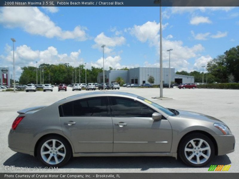 Pebble Beach Metallic / Charcoal Black 2008 Nissan Maxima 3.5 SE