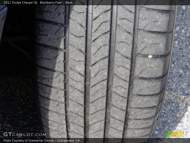 Blackberry Pearl / Black 2012 Dodge Charger SE