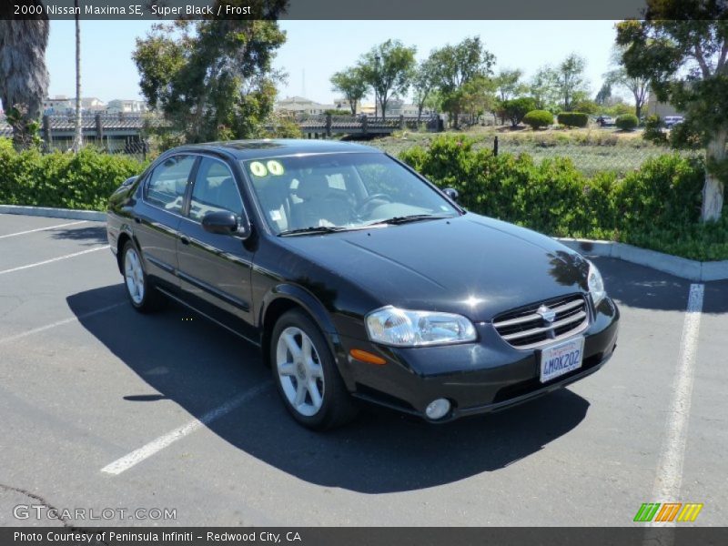 Super Black / Frost 2000 Nissan Maxima SE