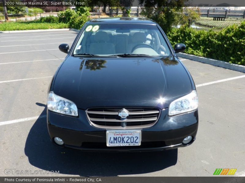 Super Black / Frost 2000 Nissan Maxima SE