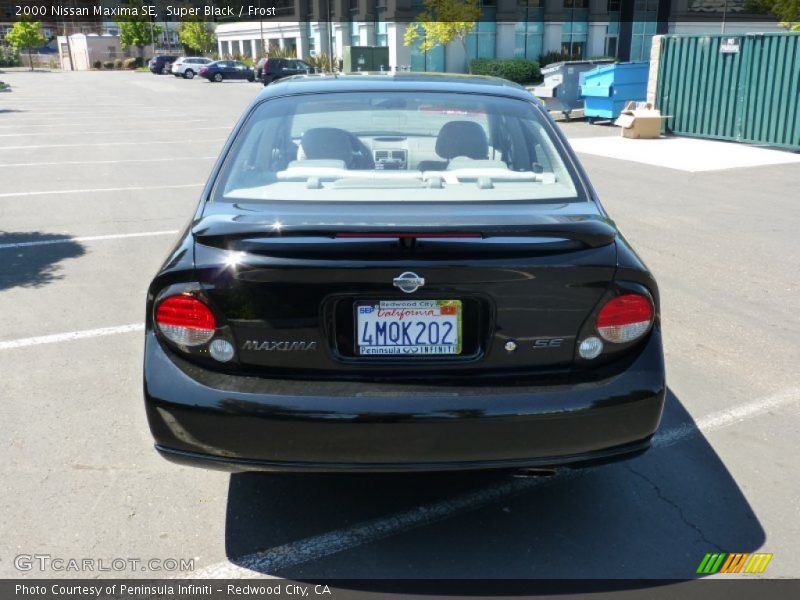 Super Black / Frost 2000 Nissan Maxima SE
