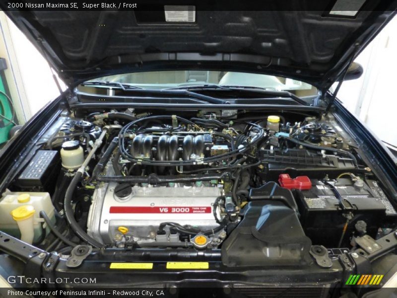 Super Black / Frost 2000 Nissan Maxima SE