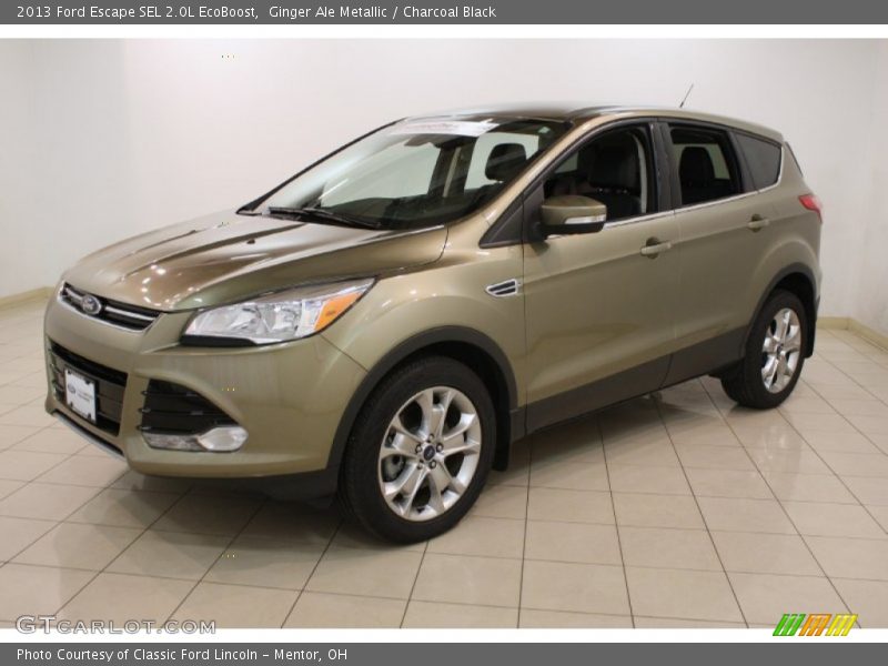 Ginger Ale Metallic / Charcoal Black 2013 Ford Escape SEL 2.0L EcoBoost