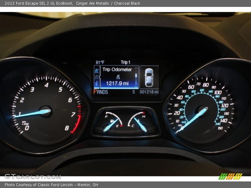 Ginger Ale Metallic / Charcoal Black 2013 Ford Escape SEL 2.0L EcoBoost