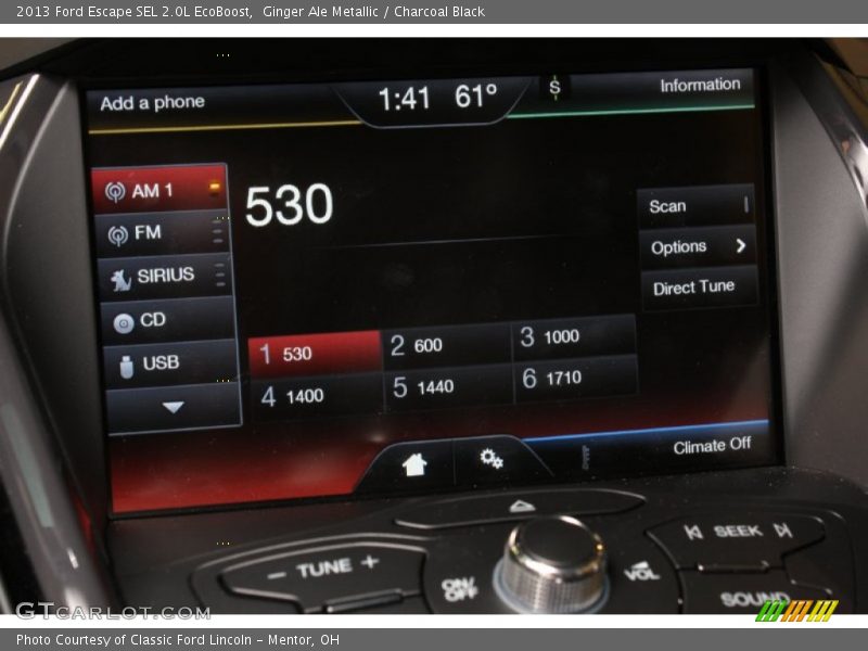 Ginger Ale Metallic / Charcoal Black 2013 Ford Escape SEL 2.0L EcoBoost