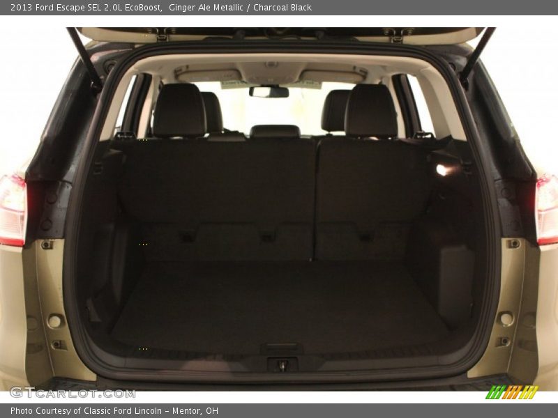 Ginger Ale Metallic / Charcoal Black 2013 Ford Escape SEL 2.0L EcoBoost