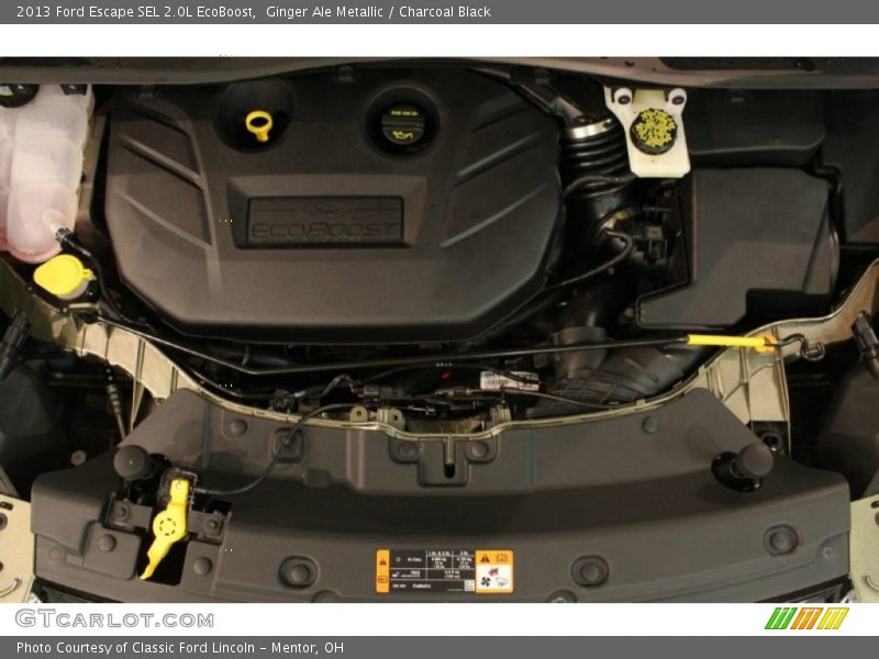 Ginger Ale Metallic / Charcoal Black 2013 Ford Escape SEL 2.0L EcoBoost