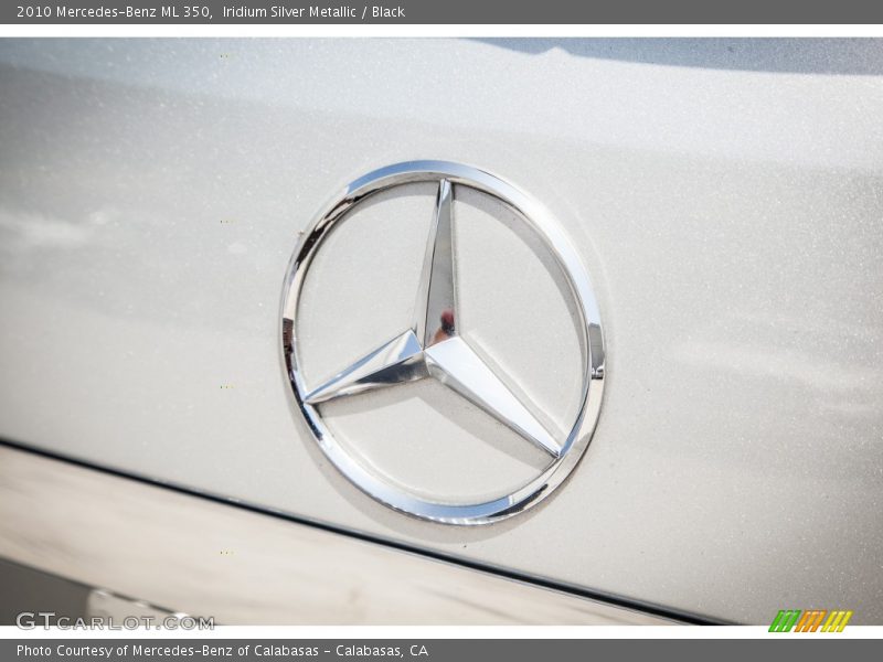 Iridium Silver Metallic / Black 2010 Mercedes-Benz ML 350