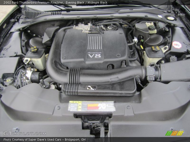  2002 Thunderbird Premium Roadster Engine - 3.9 Liter DOHC 32-Valve V8