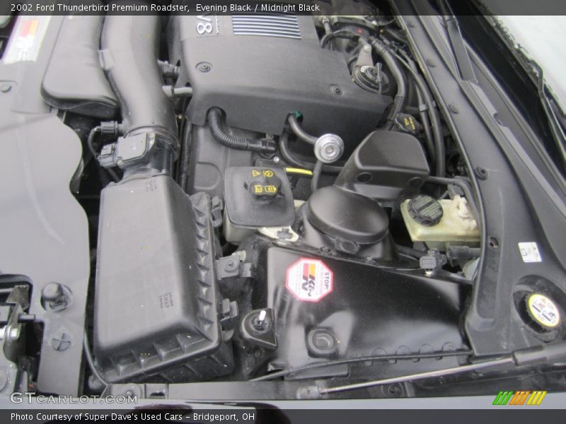 Evening Black / Midnight Black 2002 Ford Thunderbird Premium Roadster