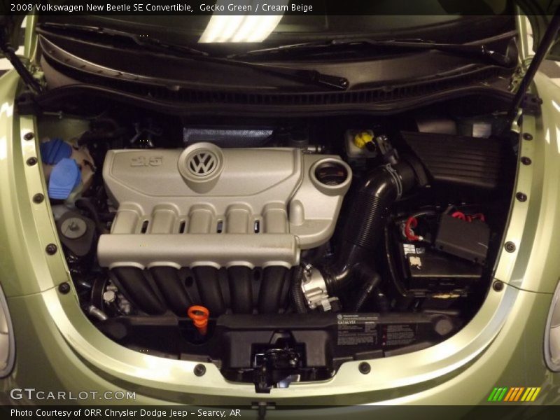 Gecko Green / Cream Beige 2008 Volkswagen New Beetle SE Convertible