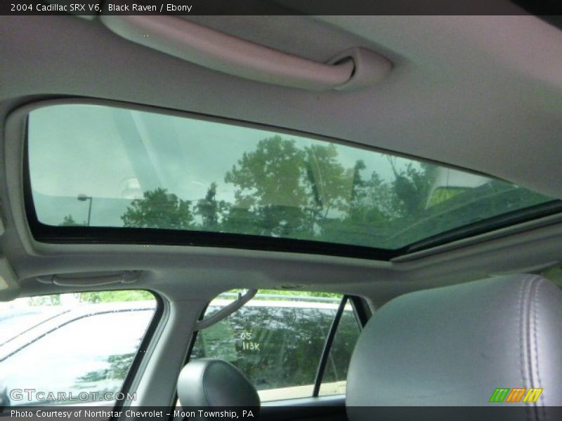 Black Raven / Ebony 2004 Cadillac SRX V6