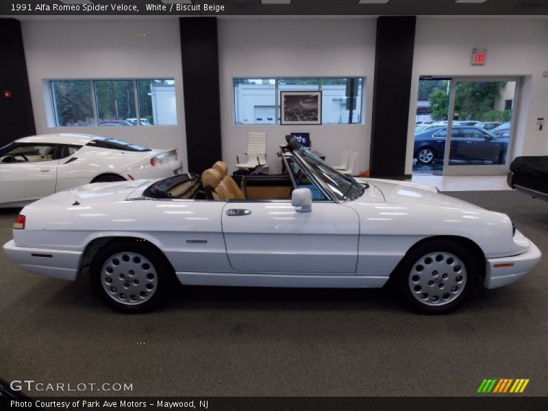  1991 Spider Veloce White