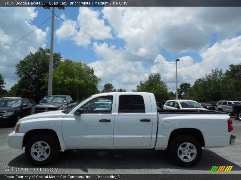 Bright White / Medium Slate Gray 2006 Dodge Dakota SLT Quad Cab