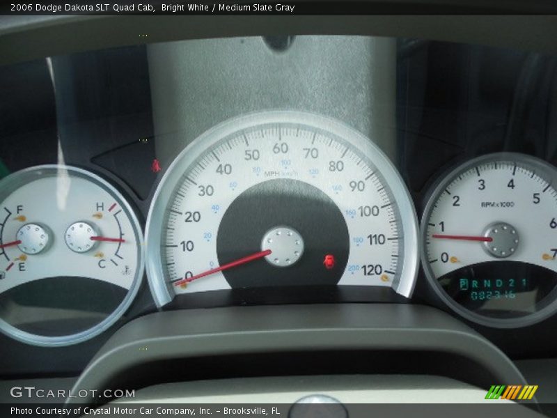 Bright White / Medium Slate Gray 2006 Dodge Dakota SLT Quad Cab