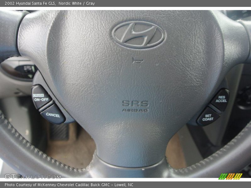Nordic White / Gray 2002 Hyundai Santa Fe GLS