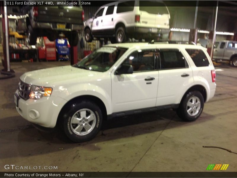 White Suede / Stone 2011 Ford Escape XLT 4WD