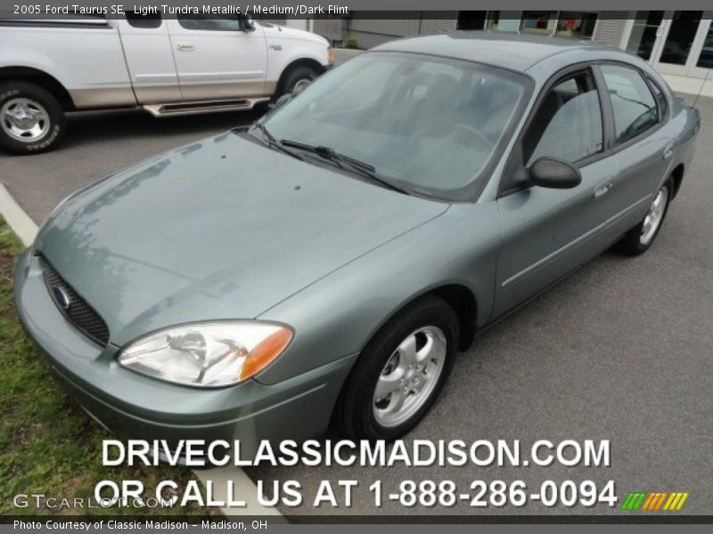 Light Tundra Metallic / Medium/Dark Flint 2005 Ford Taurus SE