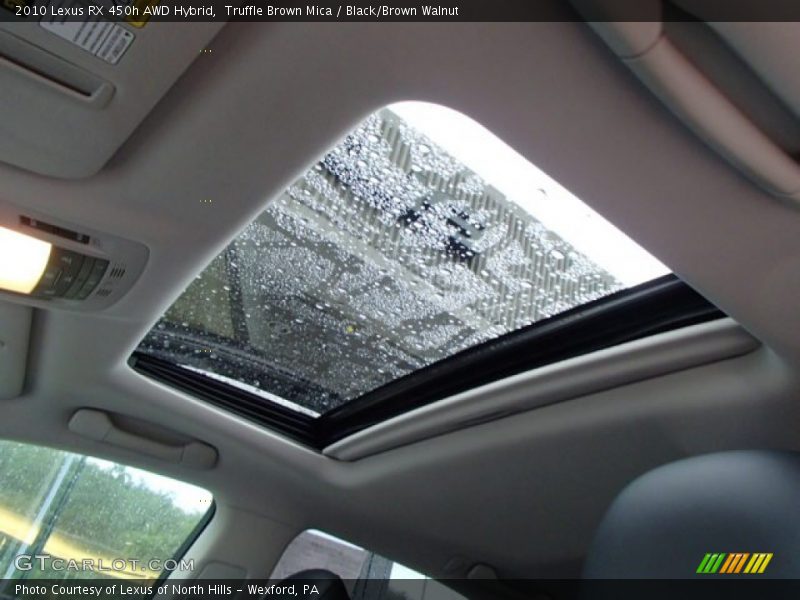 Truffle Brown Mica / Black/Brown Walnut 2010 Lexus RX 450h AWD Hybrid