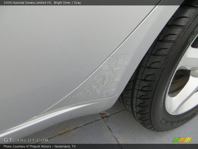 Bright Silver / Gray 2009 Hyundai Sonata Limited V6